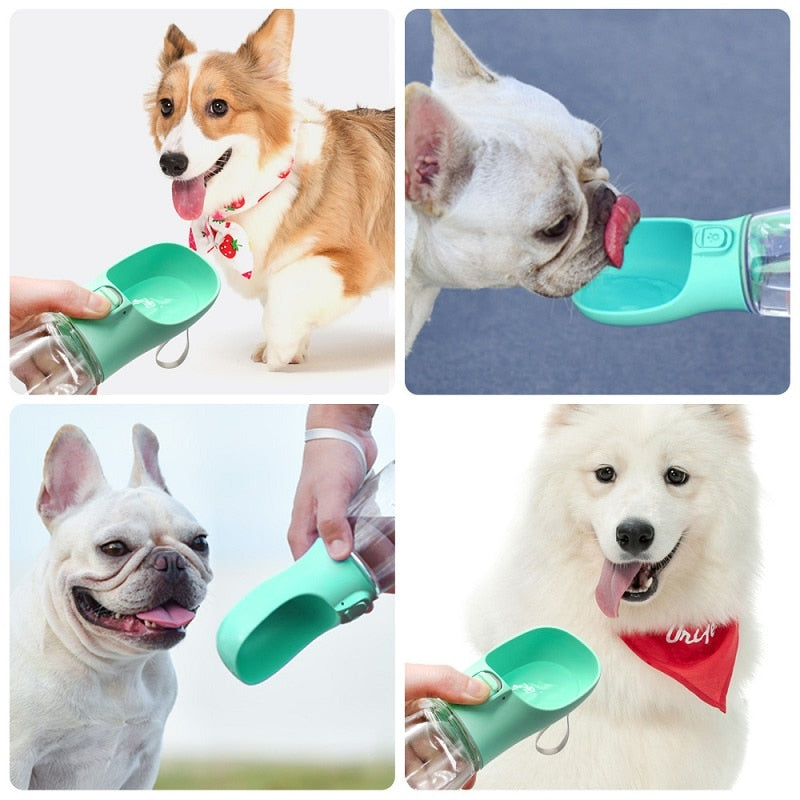 Portable Dog Water Bottle For Small Large Dogs Bowl Outdoor - Hollasoftshop