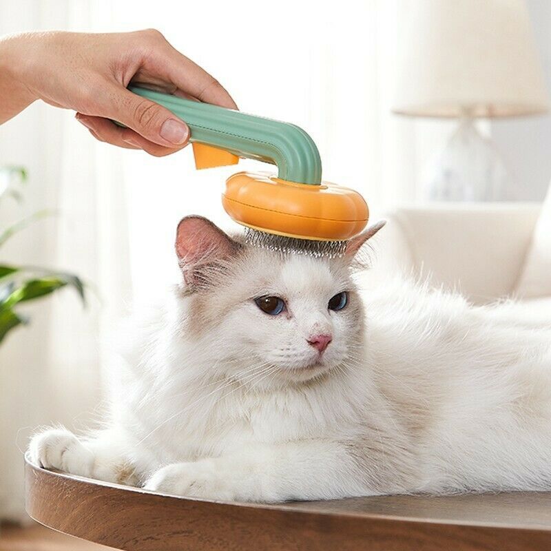 Pet Pumpkin Self-Cleaning Slicker Brush - Hollasoftshop