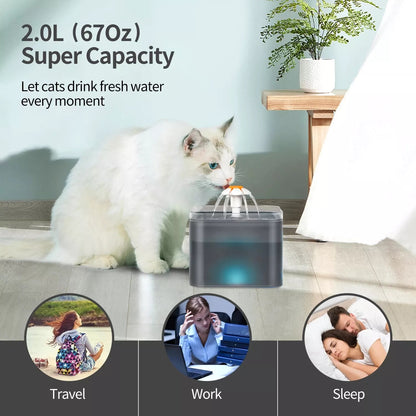 2L Capacity Automatic Cat Water Fountain with LED Lighting Drinker USB - Hollasoftshop