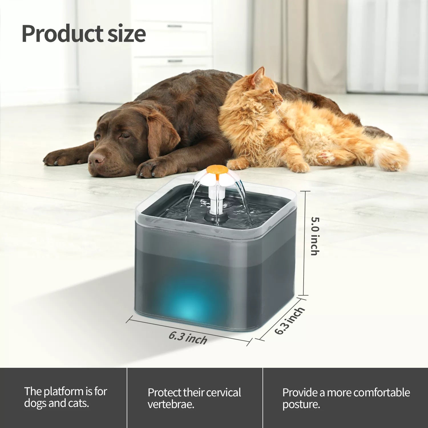 2L Capacity Automatic Cat Water Fountain with LED Lighting Drinker USB - Hollasoftshop